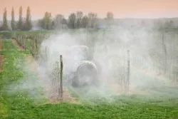 Tractor sprays orchard