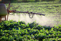 Agricultural sprayer
