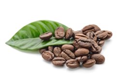 kona coffee lawsuit