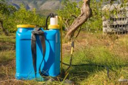Garden sprayer herbicide