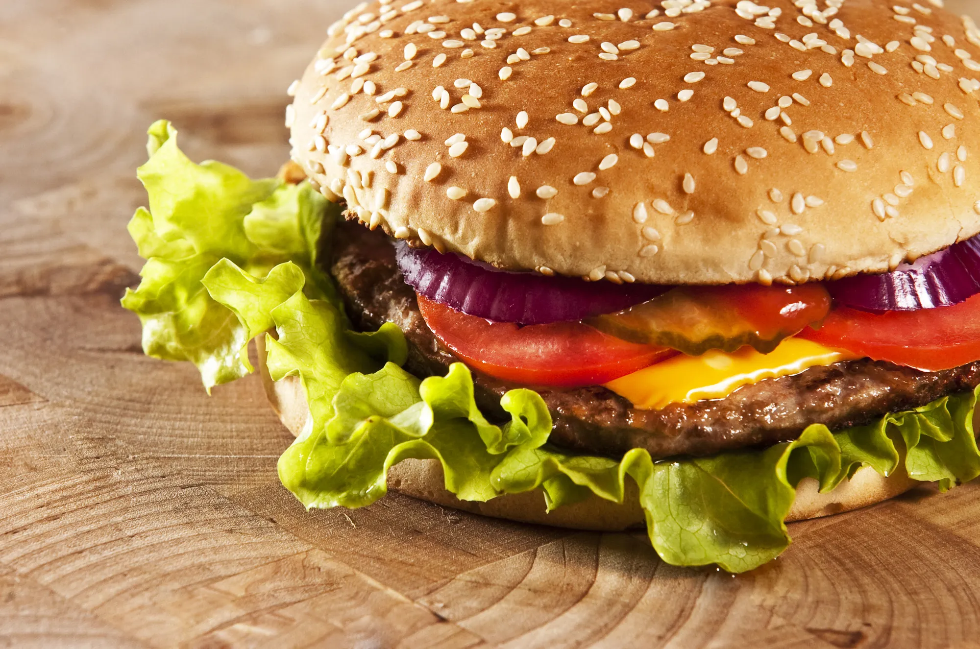 Cheeseburger with onions tomato and ketchup - checkers settlement