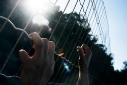 immigrant detention center fence