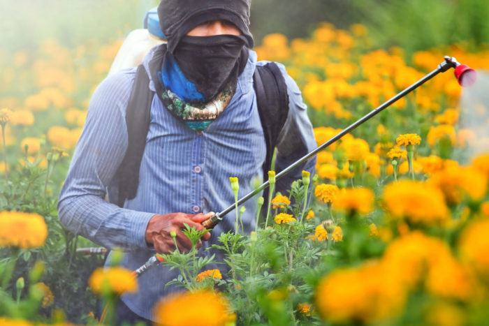 Roundup weed killer has been the subject of numerous lawsuits