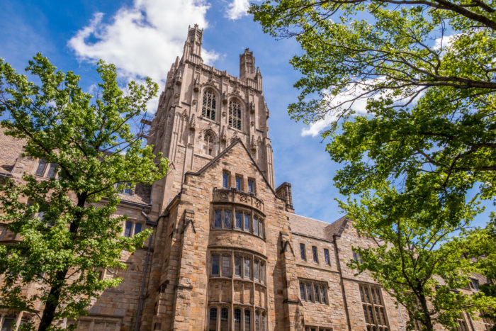 yale university