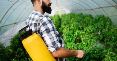 Male farmer sprays crops