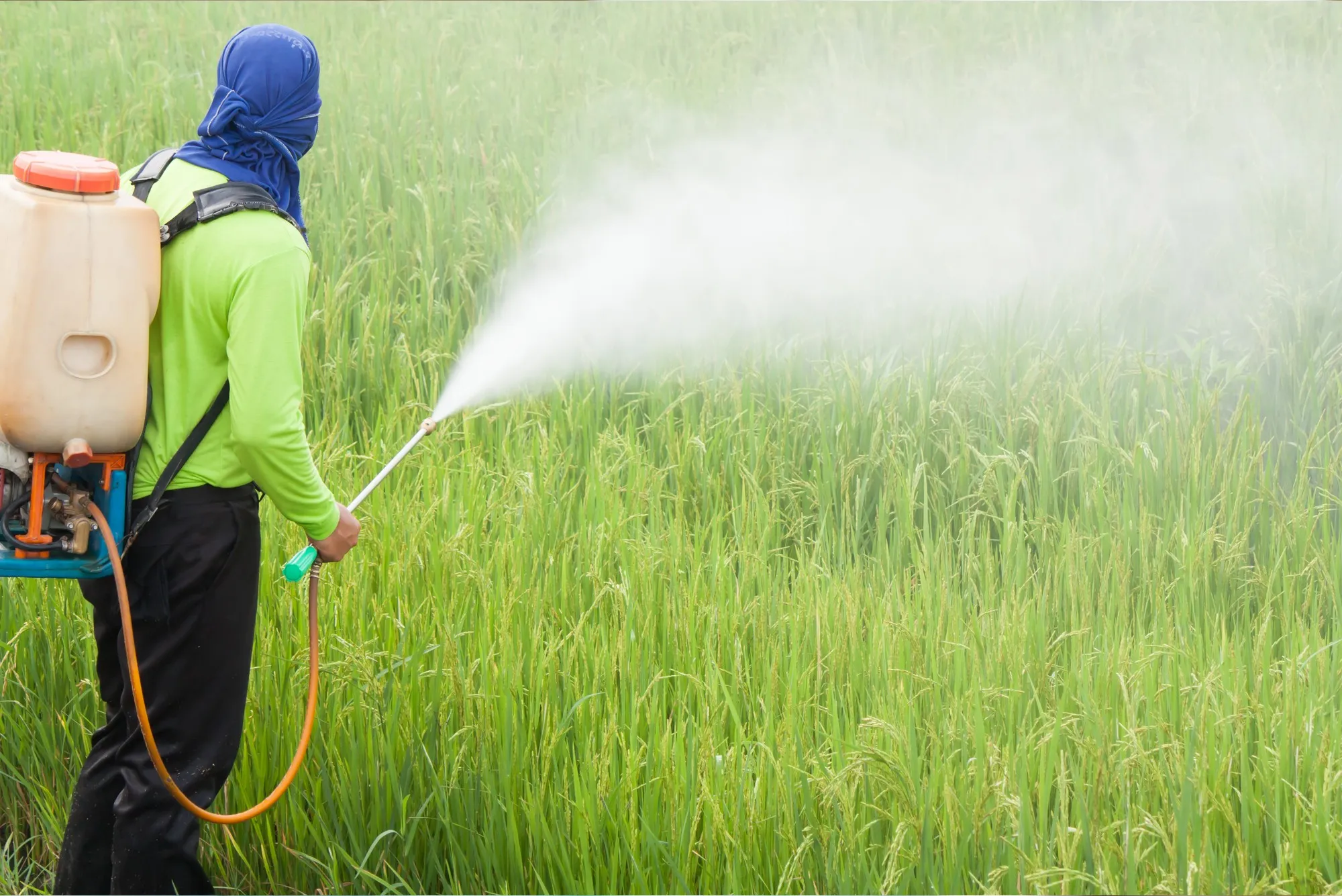 farmer spraying Roundup on fields