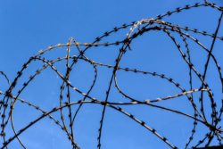 Barbed wire against blue sky
