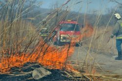 Firefighter with truck and flames