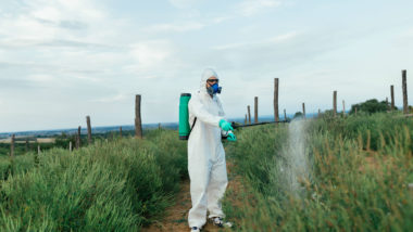 Worker in hazmat suit spraying chemicals