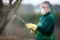 Man spraying weeds must consider glyphosate side effects.