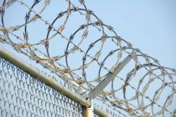 Razor wire at the top of a fence
