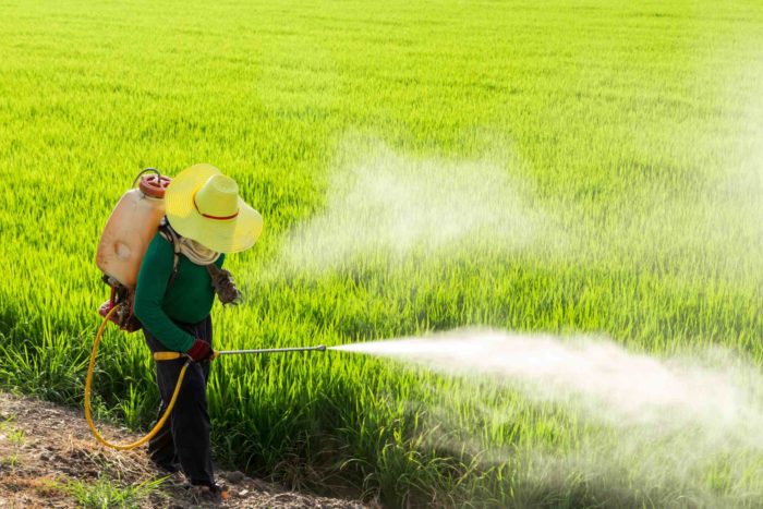 safety of herbicide with glyphosate