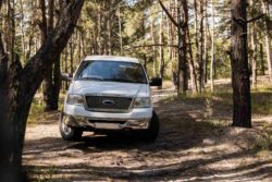 White pickup truck in forest at daytime