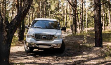 White pickup truck in forest at daytime