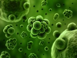 bacteria causes infection