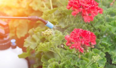 Roundup cancer is the subject of thousands of lawsuits.