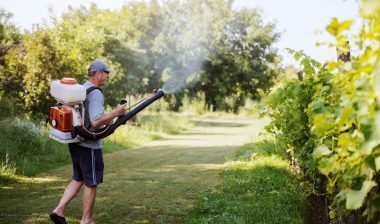 Roundup is the subject of thousands of lawsuits.