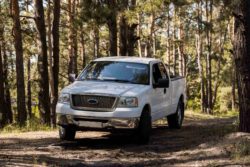 white pickup truck in woods