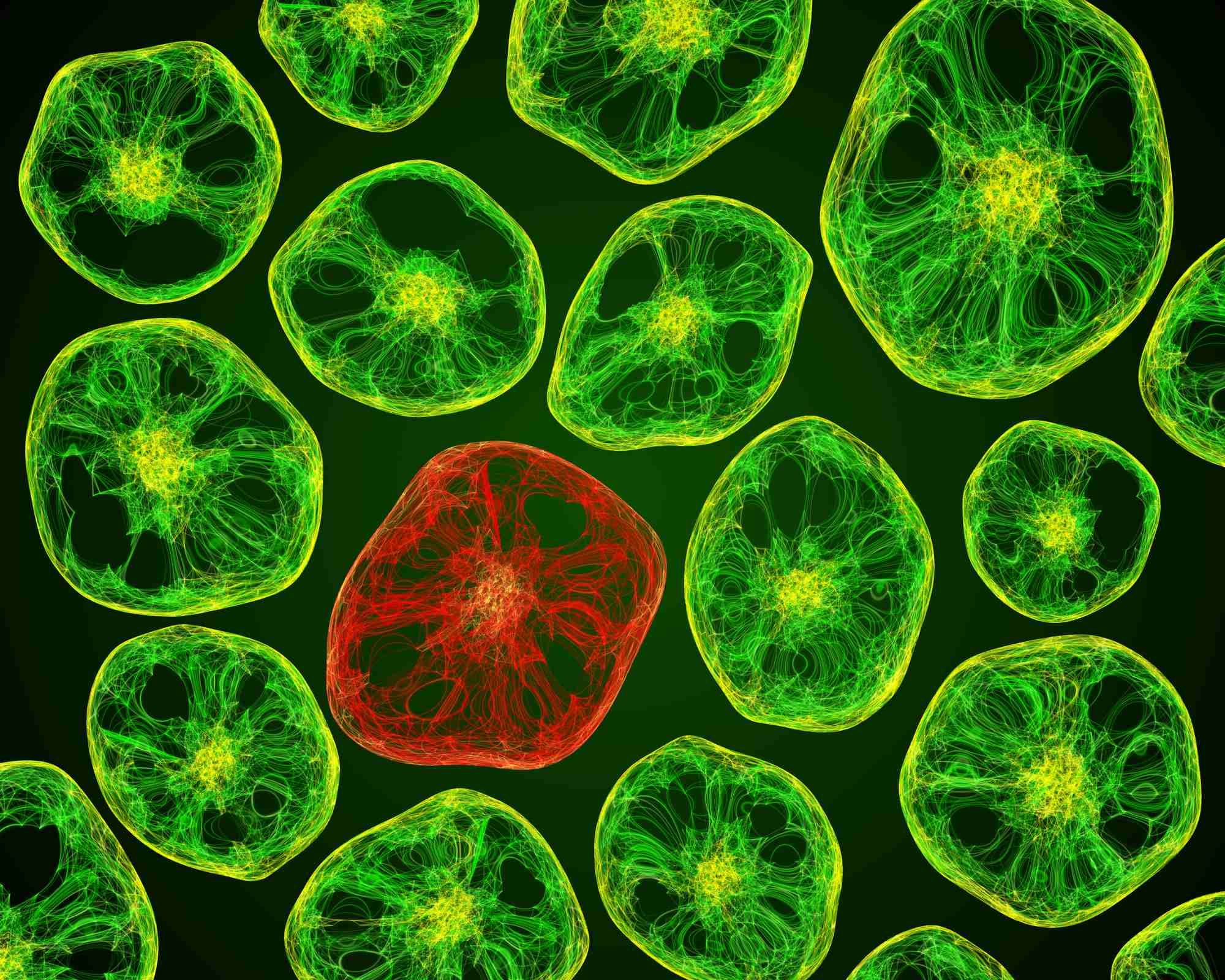 Necrotizing Fasciitis bacteria