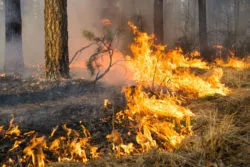 Property destroyed in California wildfires was worth some $6 billion.