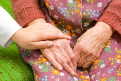 Elderly woman's hands with floral dress