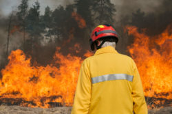 Fire fighter looking at wildfire