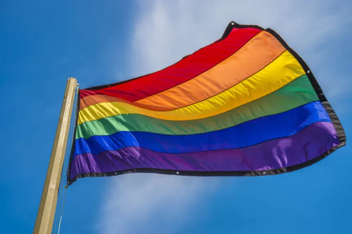 LGBTQ flag