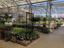 lowes garden center displays