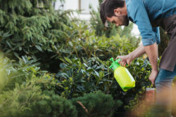 Another Roundup lawsuit has been filed, this one against Home Depot.