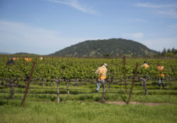 Migrant workers are pleased with a proposed settlement in an underpaid wages lawsuit.