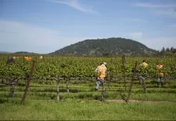 Migrant workers are pleased with a proposed settlement in an underpaid wages lawsuit.