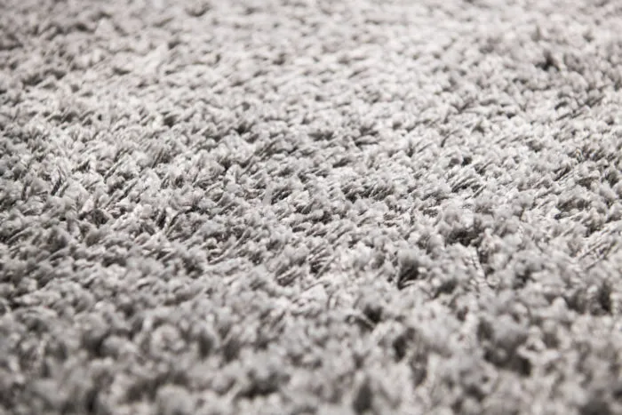 At Home gray shag rug