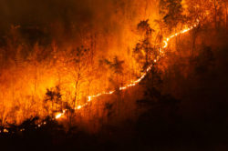 The 2018 California wildfires resulted in a record number of insurance claims.