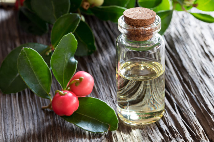 pipingrock wintergreen oil