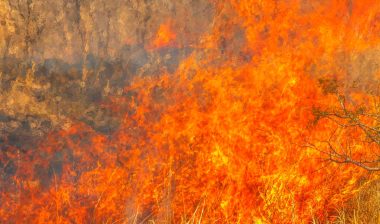 california wildfires