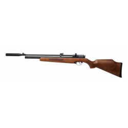 air rifle
