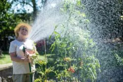elderly woman watering plants in her garden