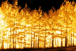 California wildfire lawsuits are bankrupting PG&E.