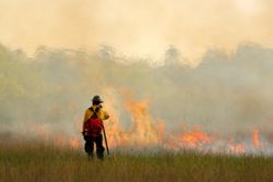 Fireman with flame in nature