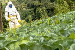 Farmer spraying fields with herbacide