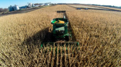Glyphosate is at the center of Roundup cancer lawsuits.