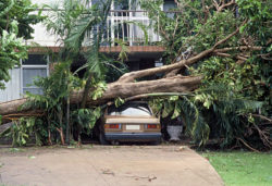 Hurricane claims continue to be filed in Florida for damage caused by Hurricane Michael.
