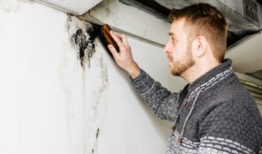 A man scrubs a patch of mold on a wall.