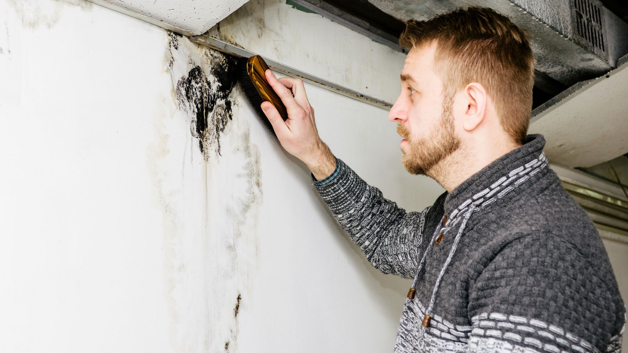 A man scrubs a patch of mold on a wall.
