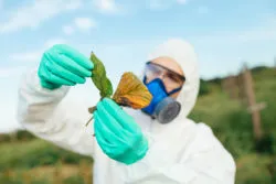 Monsanto’s Roundup trial Winston v. Monsanto, set to begin in St. Louis on October 15, has been postponed by the plaintiffs involved and the Bayer Co.