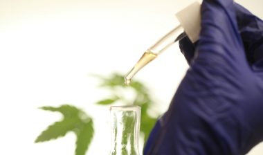 With the exception of a single product, CBD oils are not approved or regulated by the FDA in any way, meaning that the term "caveat emptor" applies.
