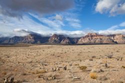 las vegas desert