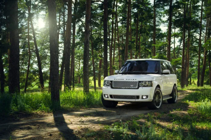 range rover in woods