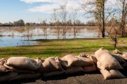 Sandbags lined up along a levee