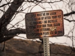 park sign after wildfire